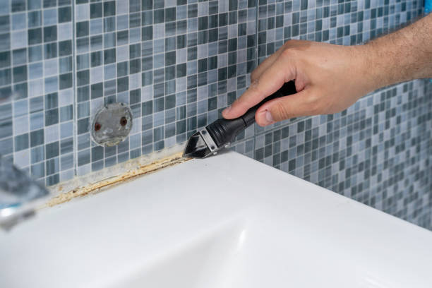 Best DIY Mold Remediation Support Services in Pembroke, NC